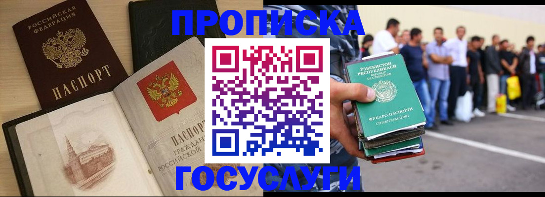 прописка для школы в Елизово